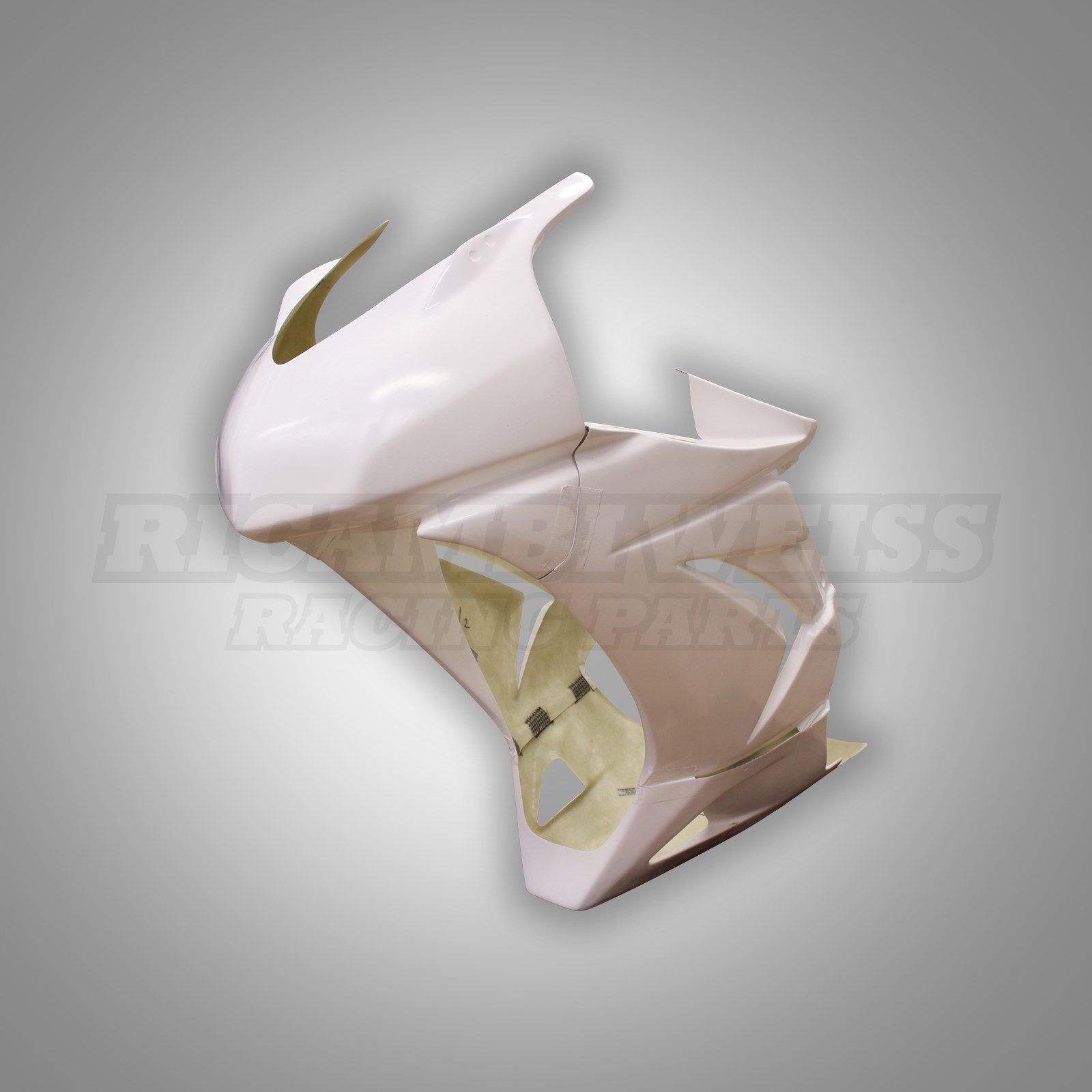 LR364 Kawasaki Ninja 250 R Rennverkleidung