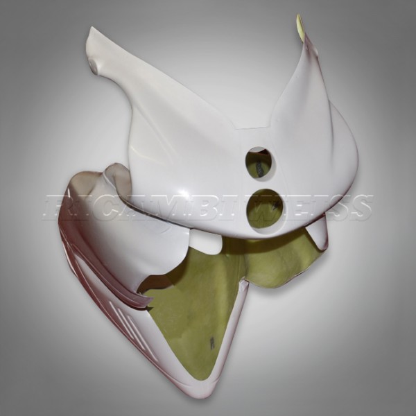 DR13/DE Ducati 750 900 SS IE Straßenverkleidung