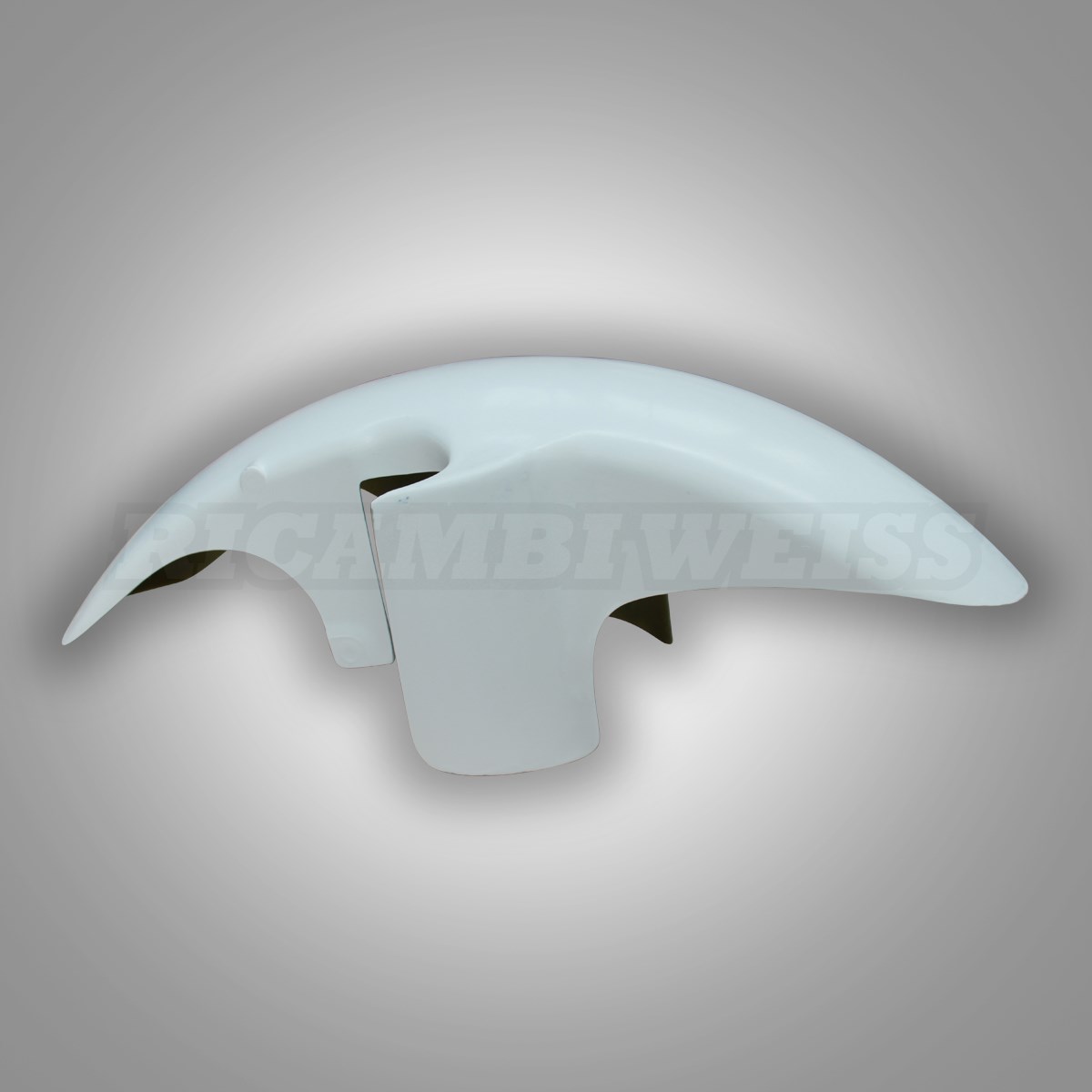 LR66 Schutzblech vorne Kawasaki ZXR 750 R